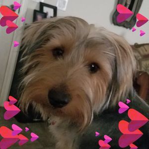 Meet your Posher, Jennifer  jeff